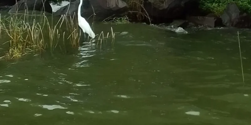 Isletas- Tu Nica Guia (1)