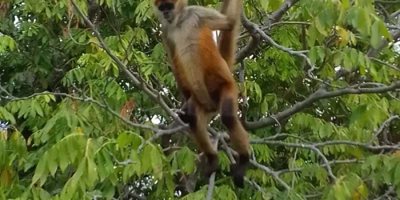 Isletas- Tu Nica Guia (3)